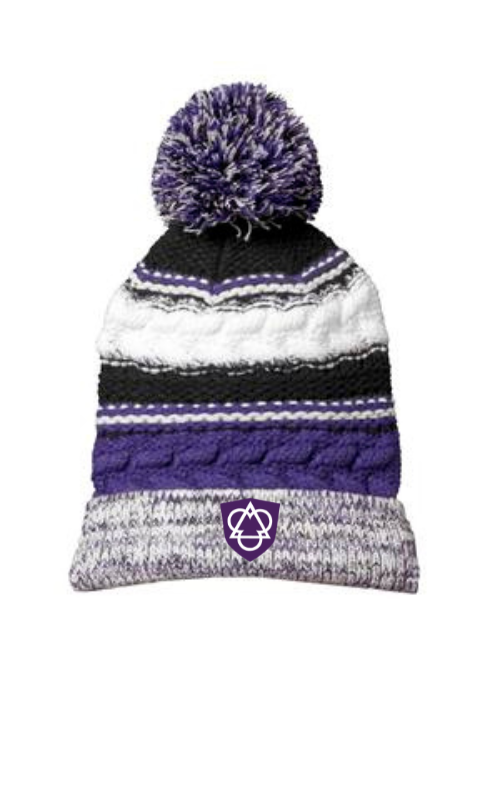 Pom Pom Team Beanie with Embroidered HTS Logo STC21